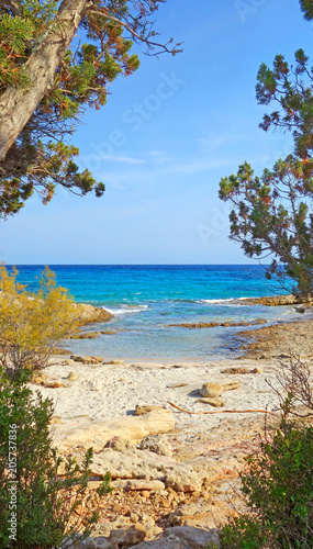 Petite Plage Sauvage Corse Buy This Stock Photo And