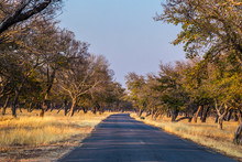 Road Through The Bush, Leading To Hwange National Park, Zimbabwe.