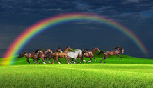 Herd Of Horses Running Along A Green Meadow Under A Rainbow Against A Stormy Sky