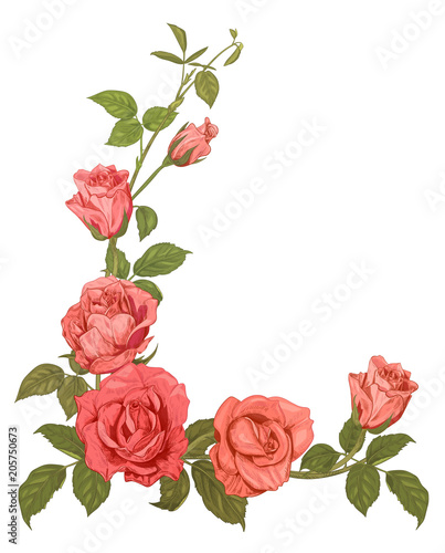 Branches Pink Roses Bouquet With Pink Red Flowers Buds Green Stems Leaves On White Background Hand Draw Sketch In Engraving Vintage Style Vertical Frame For Design Vector Stock Vector Adobe Stock