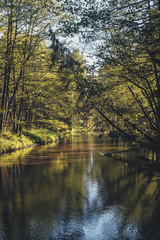  Beautiful forest river.