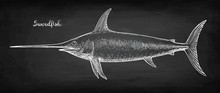 Chalk Sketch Of Swordfish