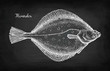 Chalk sketch of flounder