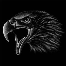 The Vector Logo Eagle For T-shirt Design Or Outwear.  Hunting Style Eagle Background.