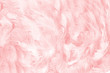 Leinwandbild Motiv soft pink vintage color trends chicken feather texture background