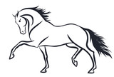 Fototapeta Konie - A sketch of a trotting horse.
