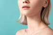 © Yakobchuk Olena - Close up of woman face and neck. Her pelt is groomed and without wrinkles. Copy space in left side. Isolated on blue background