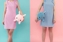 Female People Standing In Summer Clothing With Plush Toys. Isolated On Blue And Pink Background