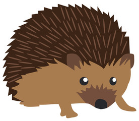 vector cute hedgehog