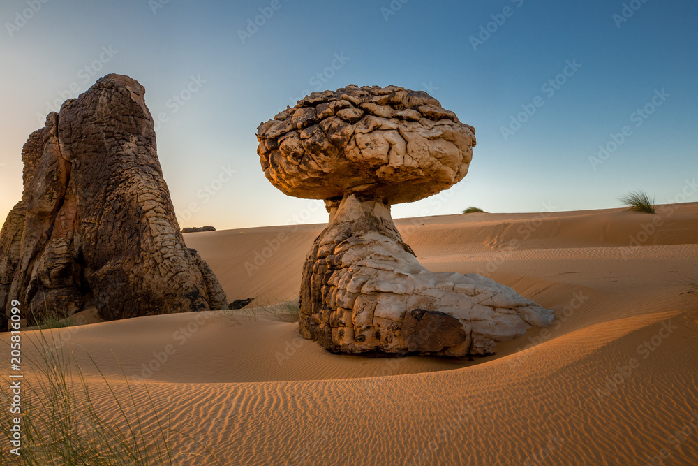 Stunning mushroom rock formation embedded in a large dune area – The ...