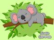 Cute Cartoon Koala Characters. Vector Illustration Cartoon Style.