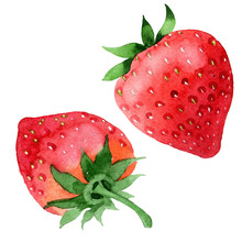 Red Strawberries Healthy Food In A Watercolor Style Isolated. Full Name Of The Fruit: Strawberry. Aquarelle Wild Fruit For Background, Texture, Wrapper Pattern Or Menu.