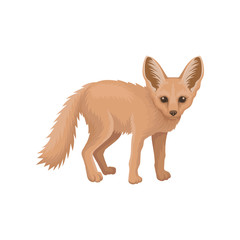 Wall Mural - detailed flat vector icon of cute fennec. small pale fox with large pointed ears and fluffy tail. wi