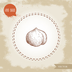 Wall Mural - Hand drawn sketch style peeled single whole hazelnut seed. Eco healthy food vector illustration. Forest nut. Isolated on old background.