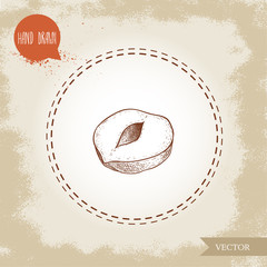 Wall Mural - Hand drawn sketch style peeled single half of  hazelnut seed. Eco healthy food vector illustration. Forest nut. Isolated on old background.