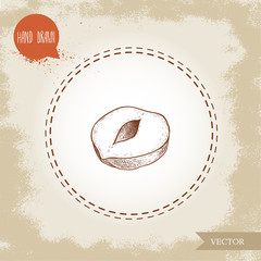 Poster - Hand drawn sketch style peeled single half of  hazelnut seed. Eco healthy food vector illustration. Forest nut. Isolated on old background.