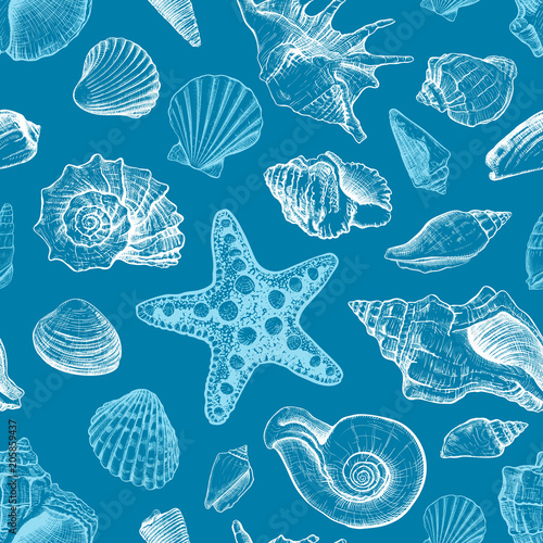 bezszwowy-wzor-z-seashells-roznymi-ksztaltami-i-rozgwiazda-na-zmroku-blekitny-tlo-recznie-rysowane-szkic-ilustracji-wektorowych