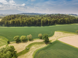 Wall Mural - Aerial view of forest in rural landscape in Switzerland on a warm summer day