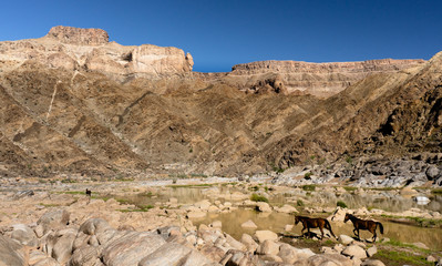 Two horses deep in the Fish River canyon of Namibia