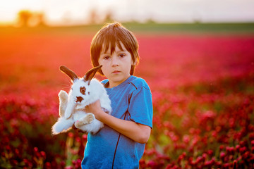 Canvas Print - Beautiful child with cute bunny in gorgeous crimson clover field on sunset