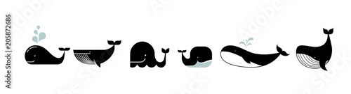 Fotomural Sea life, whales, dolphins icons