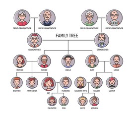 Family tree, pedigree or ancestry chart template. Cute men's and women's portraits in circular frames connected by lines. Links between relatives. Colorful vector illustration in lineart style.