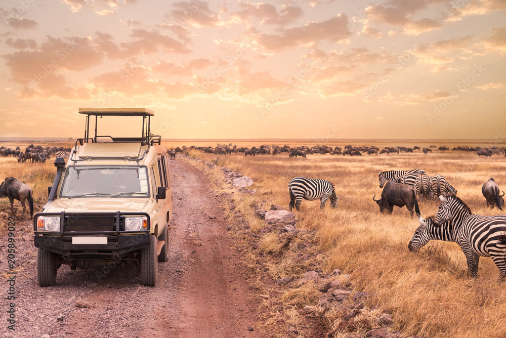 Game drive safari in Serengeti national park,Tanzania - obrazy, fototapety, plakaty 