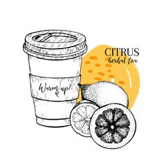 Hand drawn citrus herbal tea to go. Tea cup, lemon and orange. Vectror engraved art. Healing warm tea in paper cup. Food ingredient, aromatherapy, cooking. For restaurant menu, treating, healt care.