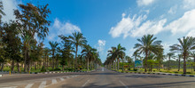 Panoramic View Of Asphalt Road Framed By Trees And Palm Trees With Partly Cloudy Sky In A Summer Day, Montana Public Park, Alexandria, Egypt