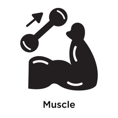 Wall Mural - Muscle icon vector sign and symbol isolated on white background