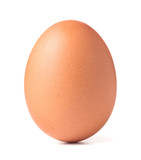 Fototapeta Łazienka - single chicken egg isolated on white background