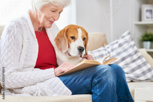 Fotografía Side view portrait of smiling senior woman sitting on couch with her dog and rea