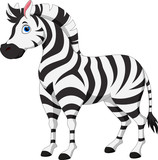 Fototapeta  - Cute zebra cartoon isolated on white background