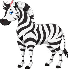 Wall Mural - Cute zebra cartoon isolated on white background