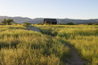 © NatalieJean - Abandoned wood cabin in Dead Horse Ranch State Park, Arizona