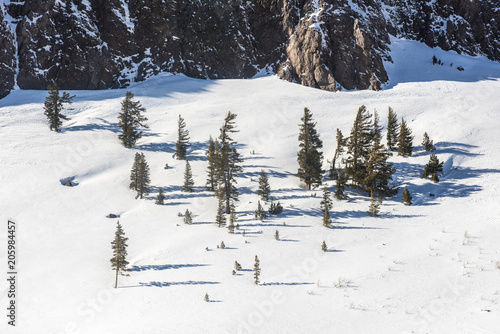 Fotografie, Obraz View of the snow-covered hill with pine trees in Mammoth Lakes, California