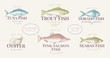 Hand drawn fish and seafood labels set in retro style. Vector logo templates. Labels can be use for restaurant menu fish shop market.