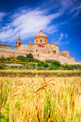 Wall Mural - Mdina, fortified city on Malta island