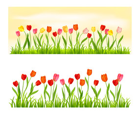 Poster - Nature banner isolated set