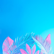 © Zamurovic Brothers - Tropical and palm leaves in vibrant bold gradient holographic neon  colors. Concept art. Minimal surrealism summer background.