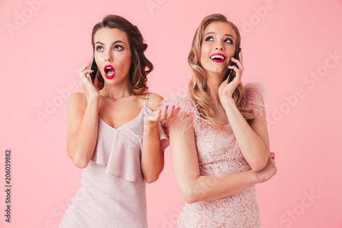 Two young elegant women in dresses posing together Poster