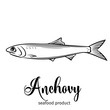 Vector anchovy.