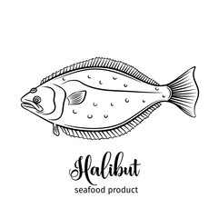 Wall Mural - Vector halibut