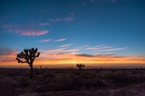 Fototapeta Sawanna - Desert sunset - California 