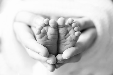 baby feet black white photo