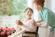 A professional caretaker in uniform helping a geriatric female patient on a wheelchair. Senior holding a cup and sitting by a large window in a rehabilitation center.