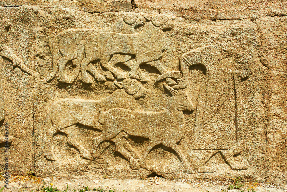 Alacahöyük - low  reliefs on the site of Hittite settlement  situated in Alaca, Çorum Province, Turkey - obrazy, fototapety, plakaty 