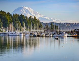 Mt Rainier  overlooking Gig Harbor