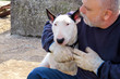© zoranlino - Man with dog. English Bull Terrier white dog in company with his owner sitting and enjoying in the garden outdoor and petting a lovely dog. Human having fun with his pet. Pet concept, domestic animal.