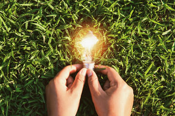hand holding light bulb on grass with sunset. concept solar energy in nature